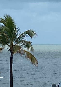 Fishing in Islamorada, Florida