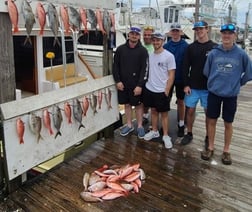 Blacktip Shark Fishing in Destin, Florida