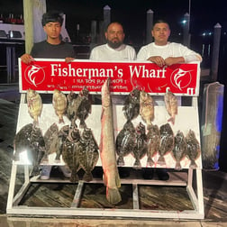 Kingfish Fishing in Port Aransas, Texas