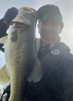 Largemouth Bass Fishing in Okeechobee, Florida, USA