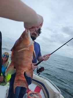 Fishing in Fort Myers Beach, Florida