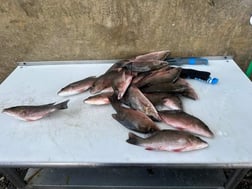 Fishing in Port Orange, Florida