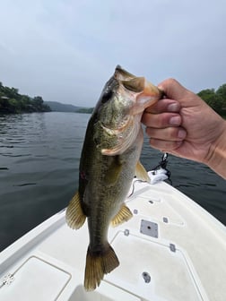 Fishing in Austin, Texas