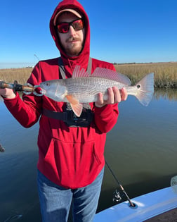 Gag Grouper Fishing in Little River, South Carolina