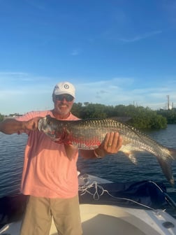 Mahi Mahi Fishing in Tampa, Florida