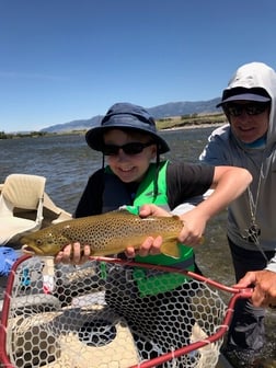 Brown Trout fishing in Sheridan, Montana