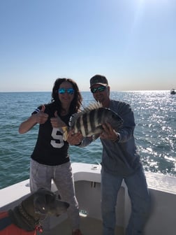 Sheepshead Fishing in Hilton Head Island, South Carolina