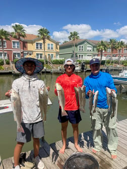 Redfish, Speckled Trout / Spotted Seatrout fishing in Hatteras, North Carolina