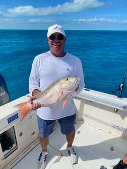 Fishing in Marathon, Florida