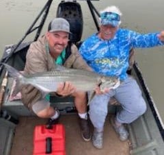 Tarpon Fishing in Freeport, Texas