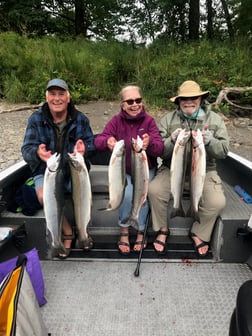 Steelhead fishing in Toledo, Washington