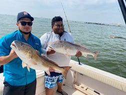 Redfish Fishing in Galveston, Texas