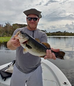 Snook Fishing in St. Augustine, Florida