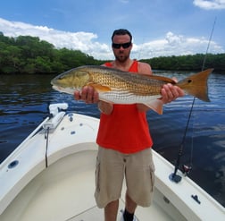 Tarpon Fishing in Tampa, Florida