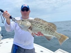 Amberjack, False Albacore, Red Snapper, Speckled Trout Fishing in Jacksonville, Florida