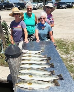 Fishing in Cape Coral, Florida