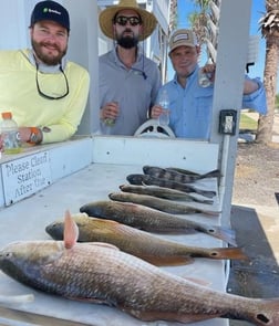 Redfish, Speckled Trout / Spotted Seatrout fishing in Galveston, Texas