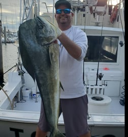 King Mackerel / Kingfish, Mahi Mahi / Dorado Fishing in Hillsboro Beach, Florida