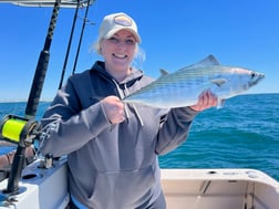 Bonito Fishing in Beaufort, North Carolina