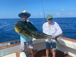 Mahi Mahi / Dorado fishing in Cabo San Lucas, Baja California Sur