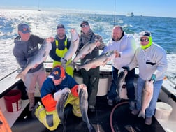 Striped Bass Fishing in Montauk, New York