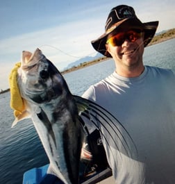 Roosterfish fishing in Loreto, Baja California Sur