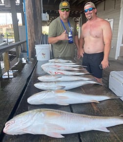 Redfish, Speckled Trout / Spotted Seatrout fishing in Galveston, Texas