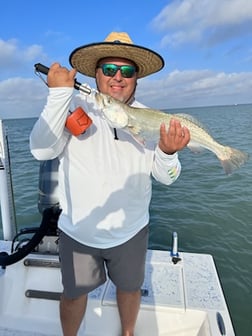 Speckled Trout Fishing in South Padre Island, Texas