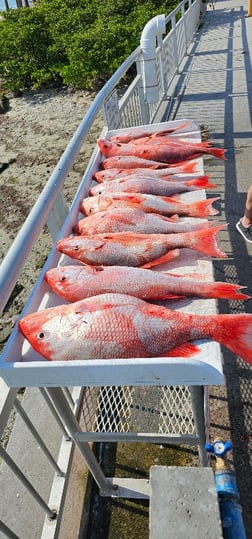 Fishing in Clearwater, Florida