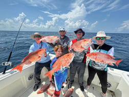 Gag Grouper Fishing in Clearwater, Florida