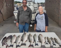 Hybrid Striped Bass Fishing in Runaway Bay, Texas