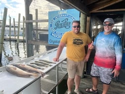 Redfish, Speckled Trout Fishing in Crystal River, Florida