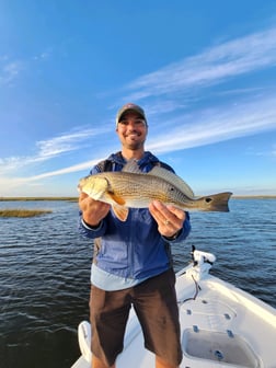 Redfish, Sheepshead, Speckled Trout / Spotted Seatrout Fishing in Yscloskey, Louisiana