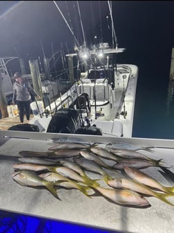 Spanish Mackerel Fishing in Key Largo, Florida