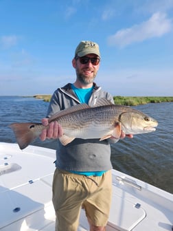 Redfish Fishing in Yscloskey, Louisiana