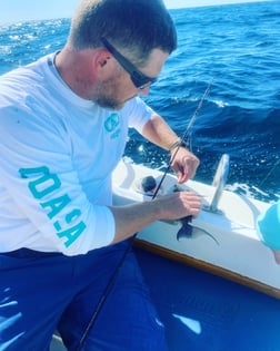 Amberjack fishing in Destin, Florida