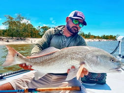 Bonefish fishing in Tavernier, Florida