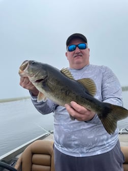 Largemouth Bass fishing in Lake Okeechobee, Florida