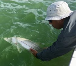 Snook Fishing in Tarpon Springs, Florida