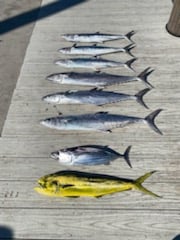 Fishing in Pompano Beach, Florida