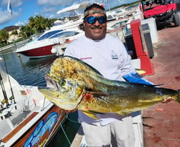 Mahi Mahi / Dorado fishing in Punta Cana, La Altagracia Province