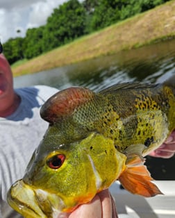 Fishing in Delray Beach, Florida