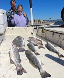 Speckled Trout / Spotted Seatrout Fishing in Galveston, Texas