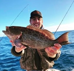 Black Seabass Fishing in Charleston, South Carolina