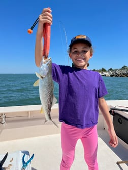 Weakfish Fishing in Beaufort, North Carolina