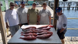 Redfish Fishing in Pensacola, Florida