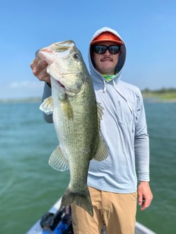 Largemouth Bass Fishing in Austin, Texas