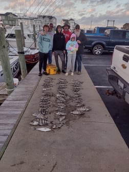 Bluefish, Sheepshead Fishing in Frisco, North Carolina