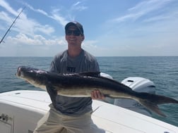 Cobia fishing in Virginia Beach, Virginia