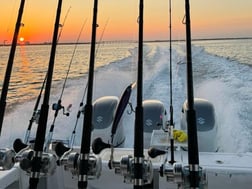 Fishing in Tierra Verde, Florida